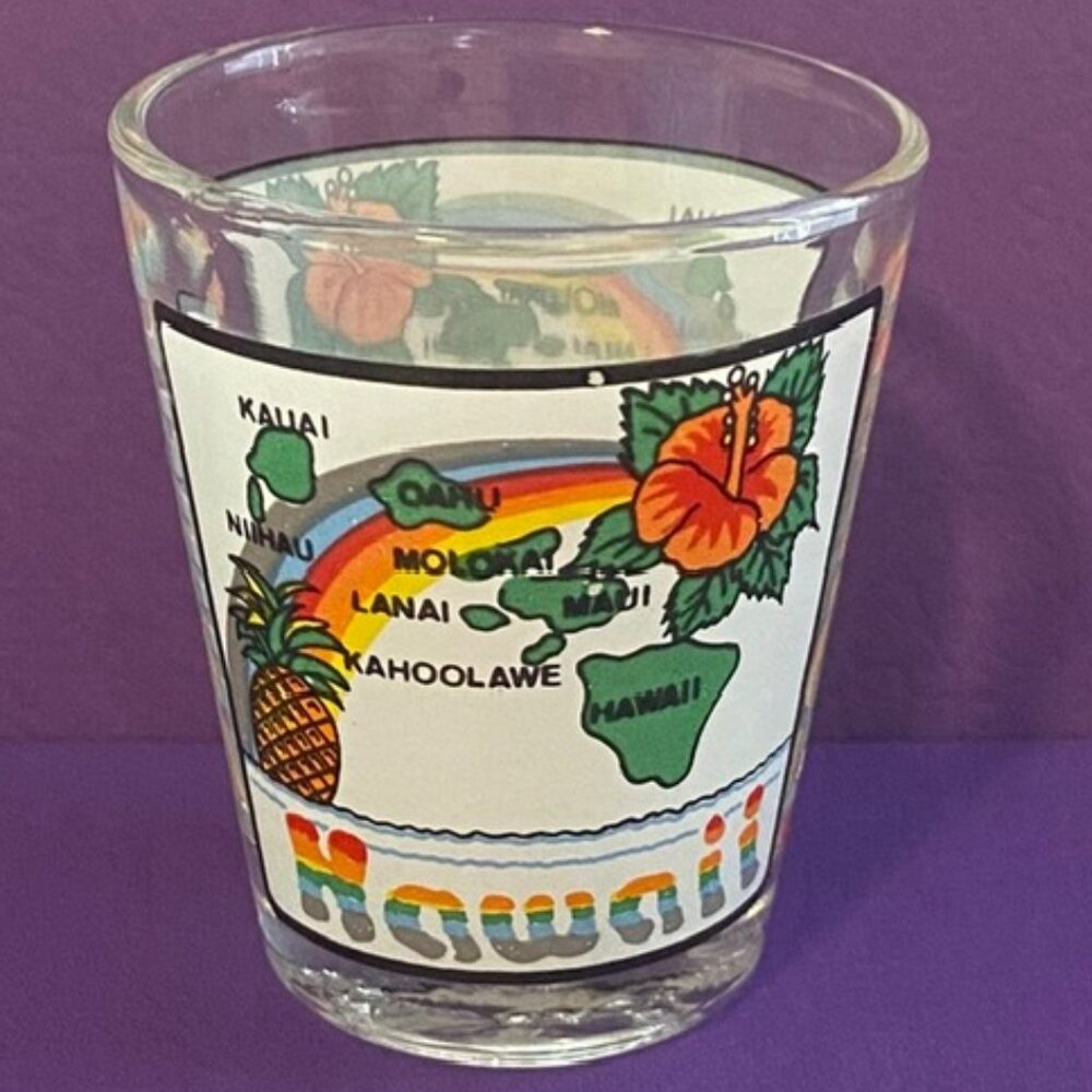 Vintage Shot Glass ~ Souvenir of Hawaiian Islands ~ Rainbow | Flower | Pineapple